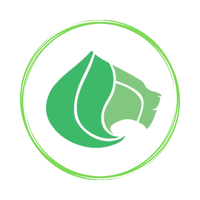 Foto di Casa dell’Energia