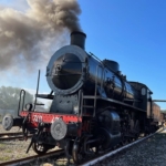 PASQUETTA SUL TRENO STORICO A VAPORE DA SIENA A BUONCONVENTO Pasquetta Sul Treno Storico A Vapore Da Siena A Buonconvento