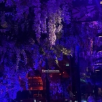Torna il Venerdi di Profumo nei Saloni di Corso Francia – Apericena con Pianobar & Party con Dj Set Torna il Venerdi di Profumo nei Saloni di Corso Francia – Apericena con Pianobar & Party con Dj Set