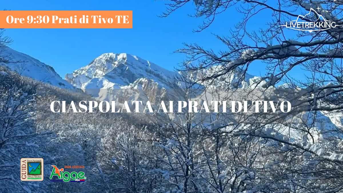 Ciaspolata alle Pendici del Gran Sasso Potrebbe essere un'immagine raffigurante il seguente testo "Ore Ore9:30PratidiTivoTE 9:30 Prati di Tivo TE LIVETREKKING CIASPOLATAAIPRATIDI ATAAIPRATIDITIVO IDITIVO CODO uNariaask #icariSchlku Aigge SSOCIATA GUIDA"