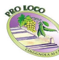Foto di Pro Loco Colognola ai Colli Immagine di Pro Loco Colognola ai Colli
