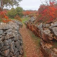 Foto di Pro Loco Fogliano Redipuglia
