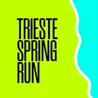 Foto di Trieste Spring Run Immagine di Trieste Spring Run