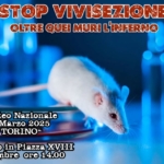 STOP vivisezione: oltre quei muri l’inferno STOP vivisezione oltre quei muri l’inferno a Torino (TO) il 22 marzo 2025