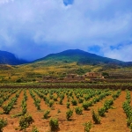 TREKKING A PANTELLERIA: Immersione nella Perla Nera. No photo description available.