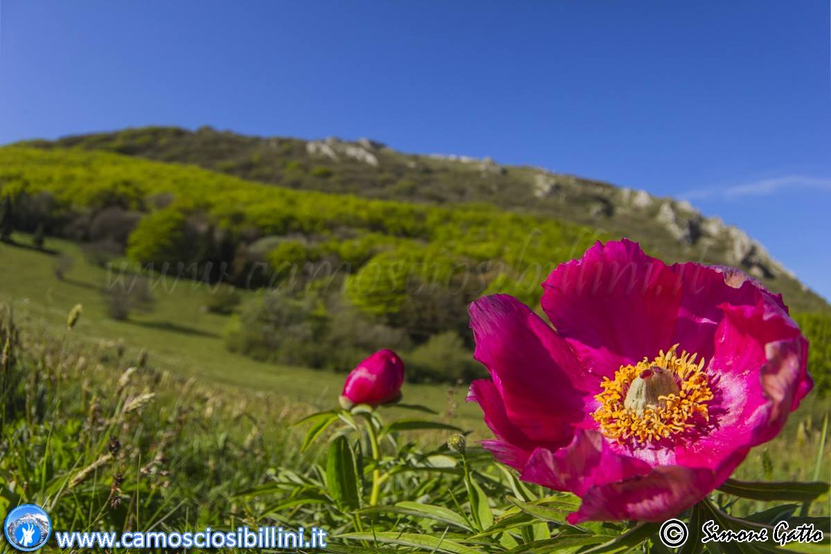 2025 – 18 Maggio – Oltre gli 800 metri! San Vicino Nessuna descrizione della foto disponibile.