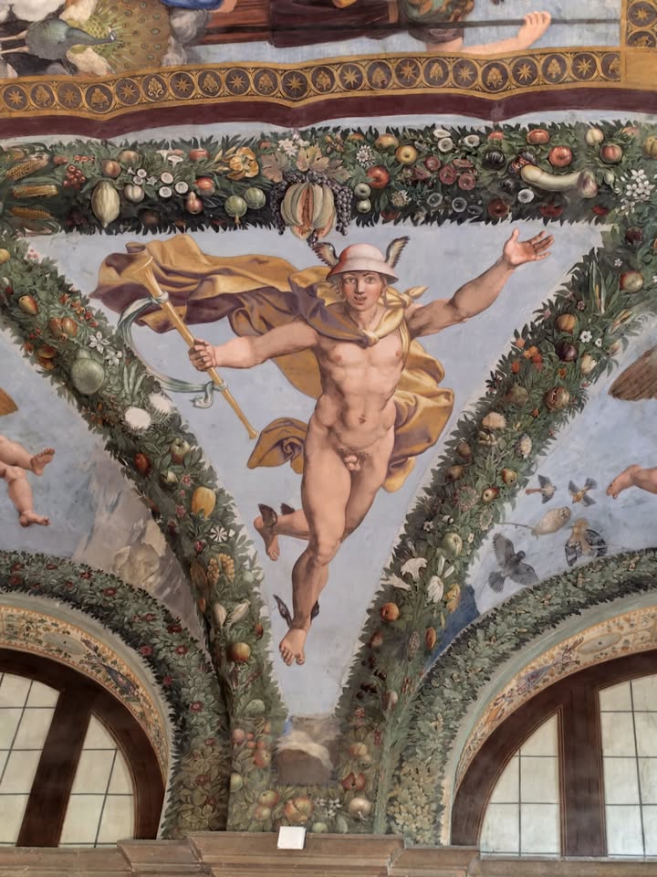 Alla scoperta di Villa Farnesina Nessuna descrizione della foto disponibile.