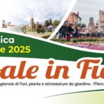 Noale in fiore e Mercato hobbisti Potrebbe essere un'immagine raffigurante 3 persone e il seguente testo "Rlegion ำาแรง H CaediNoele JOPLIMIPUTS Tempesta nyPUHMEЛA NOALE NOALE PRO LOCO NOALE Domenica 13 Aprile 2025 Noale in Fiore 44° edizione mostra-mercato regionale di fiori, piante e attrezzature da giardino Mercatino degli hobbisti"