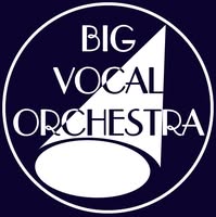 Foto di Big Vocal Orchestra