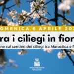 TRA I CILIEGI IN FIORE | Escursione sui sentieri dei ciliegi tra Marostica e Pianezze TRA I CILIEGI IN FIORE Escursione sui sentieri dei ciliegi tra Marostica e Pianezze a Marostica (VI) il 6 aprile 2025