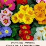 Festa della Primavera Potrebbe essere un'immagine raffigurante il seguente testo "ត្រូចពេញា PROLOCO PRO LOCO AMATRICE EVENTI 2025- AMATRICE FESTA DELLA PRIMAVERA VENERDÌ 25 APRILE"