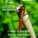 I sabati di cura della Picasso Food Forest I sabati di cura della Picasso Food Forest a Parma (PR) il 26 aprile aprile 2025 - 31 ottobre 2026