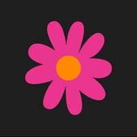 Foto di Bloom Venice Festival