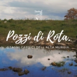 Birdwatching Pozzi di Rota: i laghetti carsici dell’Alta Murgia | Puglia Birdwatching Pozzi di Rota i laghetti carsici dell’Alta Murgia Puglia a Altamura (BA) il 17 maggio 2025