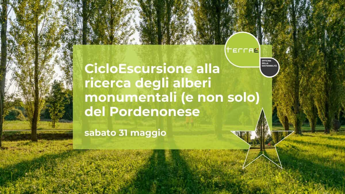 CicloEscursione alla ricerca degli alberi monumentali (e non solo) del Pordenonese Potrebbe essere un'immagine raffigurante albero e il seguente testo "errAe OFFICINA OFFICIN SOSTEMISILITA CicloEscursione alla ricerca degli alberi monumentali (e non solo) del Pordenonese sabato sabato31maggio 31 maggio"