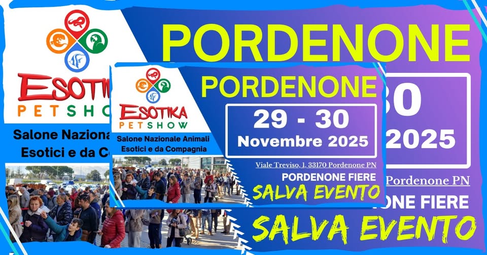 Esotika Pet Show PORDENONE 29/30 Novembre 2025 Potrebbe essere un'immagine raffigurante il seguente testo "PORDENONE ESOT PORDENONE PETSH ESOTIKA 0 Salone Nazioné Salone Nazionale Animali PETSHOW w 29-30 30 29 Novembre 2025 2025 Esotici Esotici da Compagnia VialeTreviso.).3170PordenonePA PordenonePN 33170 PORDENONE FIERE Pordenone PN SALVA EVENTO ONE FIERE SALVA EVENTO"