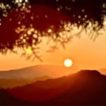 Concerto cantautori italiani al tramonto Potrebbe essere un'immagine raffigurante orizzonte, albero, natura e crepuscolo