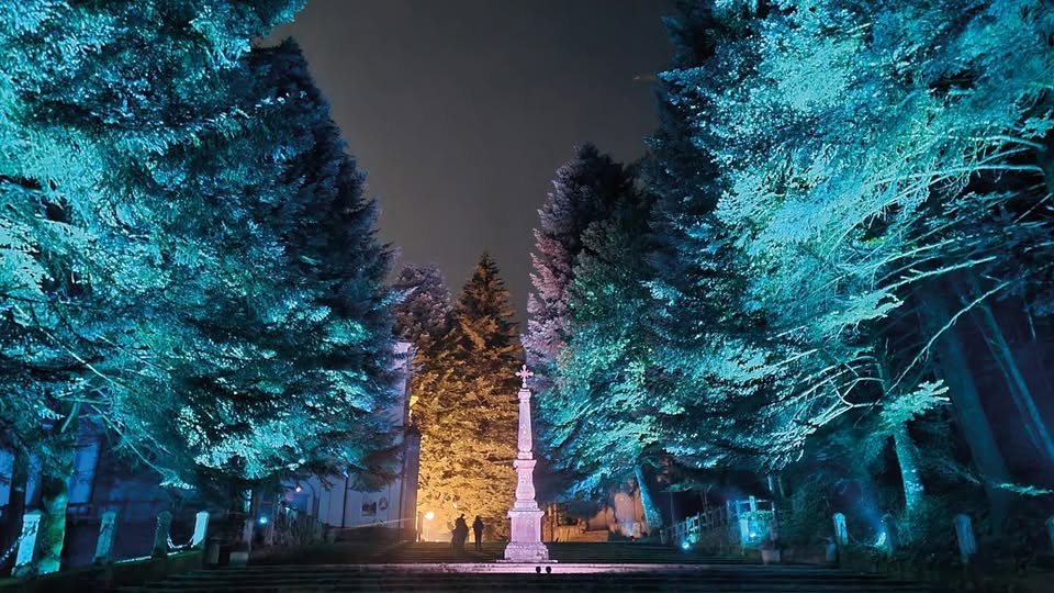 De Natura et Spiritu Potrebbe essere un'immagine raffigurante albero di Natale