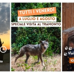 Speciale Visita al Tramonto Speciale Visita al Tramonto a Popoli (PE) il 4 luglio luglio - 29 agosto 2025