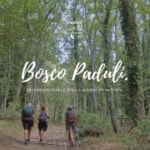 Bosco Paduli sotto le stelle: Monti Dauni | Puglia Bosco Paduli sotto le stelle Monti Dauni Puglia a Accadia (FG) il 19 luglio 2025