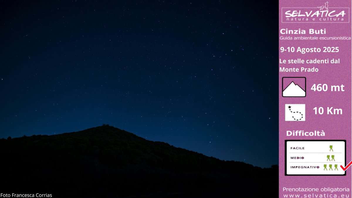 Le Stelle cadenti dal Monte Prado (LU/RE) Potrebbe essere un'immagine raffigurante il seguente testo "SELVATICA natura cultura Cinzia Buti Guida ambientale escursionistica 9-10 Agosto 2025 Le stelle cadenti dal Monte Prado 460 mt 10 Km Difficoltà FotoFrancescaCorrias Foto Francesca Corrias FACILE MEDIO IMPEGNATIVO አሸ xxX Prenotazione Prenotazioneobligatoria obligatoria www.selvatica.e"