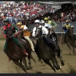 La crudeltà dietro il palio di Asti:tradizione anacronistica La crudeltà dietro il palio di Asti tradizione anacronistica a Asti (AT) il 7 settembre 2025