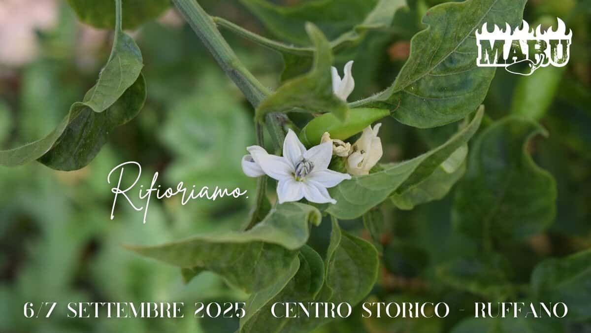 Potrebbe essere un'immagine raffigurante fiore e il seguente testo "mrm MARU Rifarama iamo. 6/7 SETTEMBRE 2025 CENTROSTORICO-RIFEAO RU RUFFANO CENTRO STORICO"