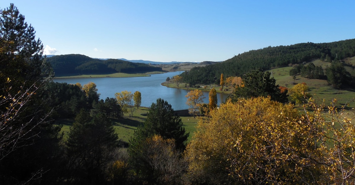 AUTUNNO IN SILA Potrebbe essere un'immagine raffigurante lago e montagna