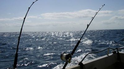 Potrebbe essere un'immagine raffigurante pesca, canna da pesca, barca e oceano