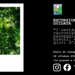 ESCURSIONE GUIDATA – I castagni raccontano…passeggiata tra boschi, erbe e fiori d’autunno Potrebbe essere un'immagine raffigurante il seguente testo "I 25 ၁ဓိ၀ DURLO ESCURSIONE GUIDATA 18 10 25 "I castagni raccontano. passeggiata tra boschi erbe e giori l'autunno" Durlo di Crespadoro 18 ottobre 2025, ore 15.00 (in piazza a Durlo) @AssociazioneDur1086 www.dur1086.it WWW durlo86. it"