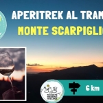 🌸🌾Il Monte Croce e le sue Giunchiglie: Escursione tra le fioriture Apuane🌻 Nessuna descrizione della foto disponibile.