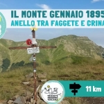 🌸🌾Il Monte Croce e le sue Giunchiglie: Escursione tra le fioriture Apuane🌻 Nessuna descrizione della foto disponibile.