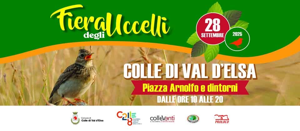 FIERA DEGLI UCCELLI COLLE DI VAL D’ELSA Potrebbe essere un'immagine raffigurante testo