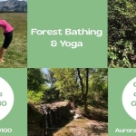 Forest Bathing & Yoga alle Cascatelle del Molino (Li) Forest Bathing & Yoga alle Cascatelle del Molino (Li) a Gabbro (LI) il 4 ottobre 2025