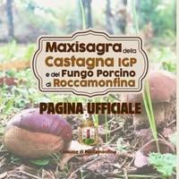 Foto di Maxi Sagra della Castagna IGP e del Fungo Porcino di Roccamonfina Immagine di Maxi Sagra della Castagna IGP e del Fungo Porcino di Roccamonfina