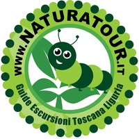 Foto di Pagina di Naturatour T.O.