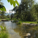 Praxisseminar Teichbau – Wasserflächen gestalten & Lebensräume schaffen Potrebbe essere un'immagine raffigurante corpo idrico, albero e erba
