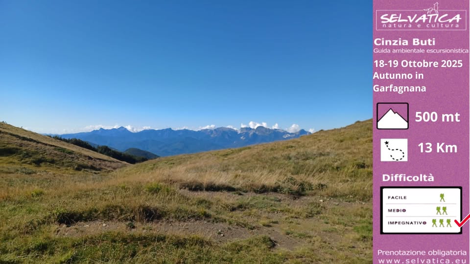 Sabato 18 Domenica 19 Ottobre-Autunno in Garfagnana (LU/RE) Potrebbe essere un'immagine raffigurante montagna e il seguente testo "SELVATICA natura cultura Cinzia Buti Guida ambientale escursionistica 18-19 18- Ottobre 2025 Autunno in Garfagnana 500 mt 13 Km Difficoltà FACILE MEDIO 犬 IMPEGNATIVOXXX IMPEGNATIVO XXX Prenotazione Prenotazioneobligatoria obligatoria www.selvatica.eu"