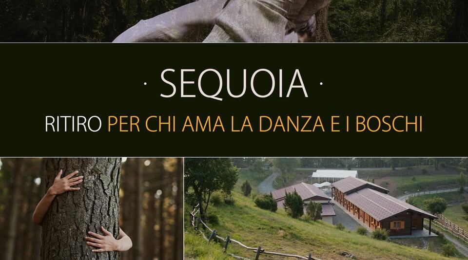 Evento SEQUOIA – Ritiro per Chi Ama la Danza e i Boschi Locandina SEQUOIA – Ritiro per Chi Ama la Danza e i Boschi - da venerdì 19 settembre - domenica 21 settembre 2025 ore 14:00 ore 15:00