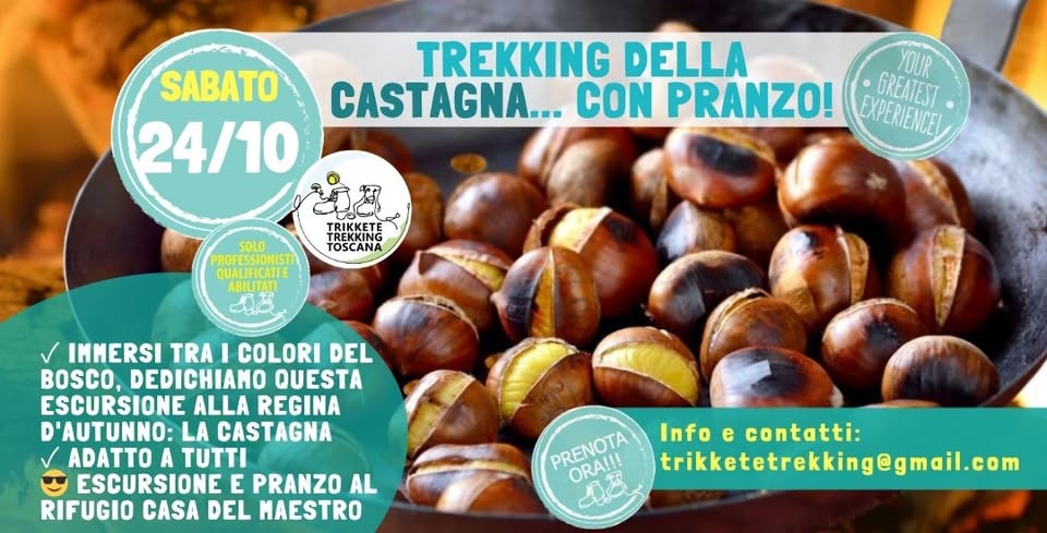 Evento Trekking della Castagna con Pranzo al Rifugio La Casa del Maestro! Locandina Trekking della Castagna con Pranzo al Rifugio La Casa del Maestro! - sabato 24 ottobre ore 09:45 - 11:45