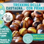Trekking della Castagna 🌰 con Pranzo al Rifugio La Casa del Maestro! Trekking della Castagna con Pranzo al Rifugio La Casa del Maestro! a Camaiore (LU) il 10 ottobre 2026