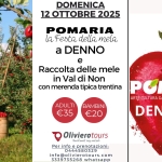 Viaggio in Val di Non: Pomaria e raccolta delle mele tra i filari Potrebbe essere un'immagine raffigurante mela e il seguente testo "DOMENICA 12 OTTOBRE 2025 POMARIA la Festa della mela a DENNO e Raccolta delle mele in Val di Non con merenda tipica trentina ADULTI €35 BAMBINI €20 POMARIA ARTE CULTURA GASTRONOMIA MUSICA TRADIZIONE DENNO (TN) Olivierotours tours 6aeилeK ndsahe Perinfo Perinfoeprenotazioni: info prenotazioni: Per 0444580329 info@olivierotours.com 3339735268 whatsapp"