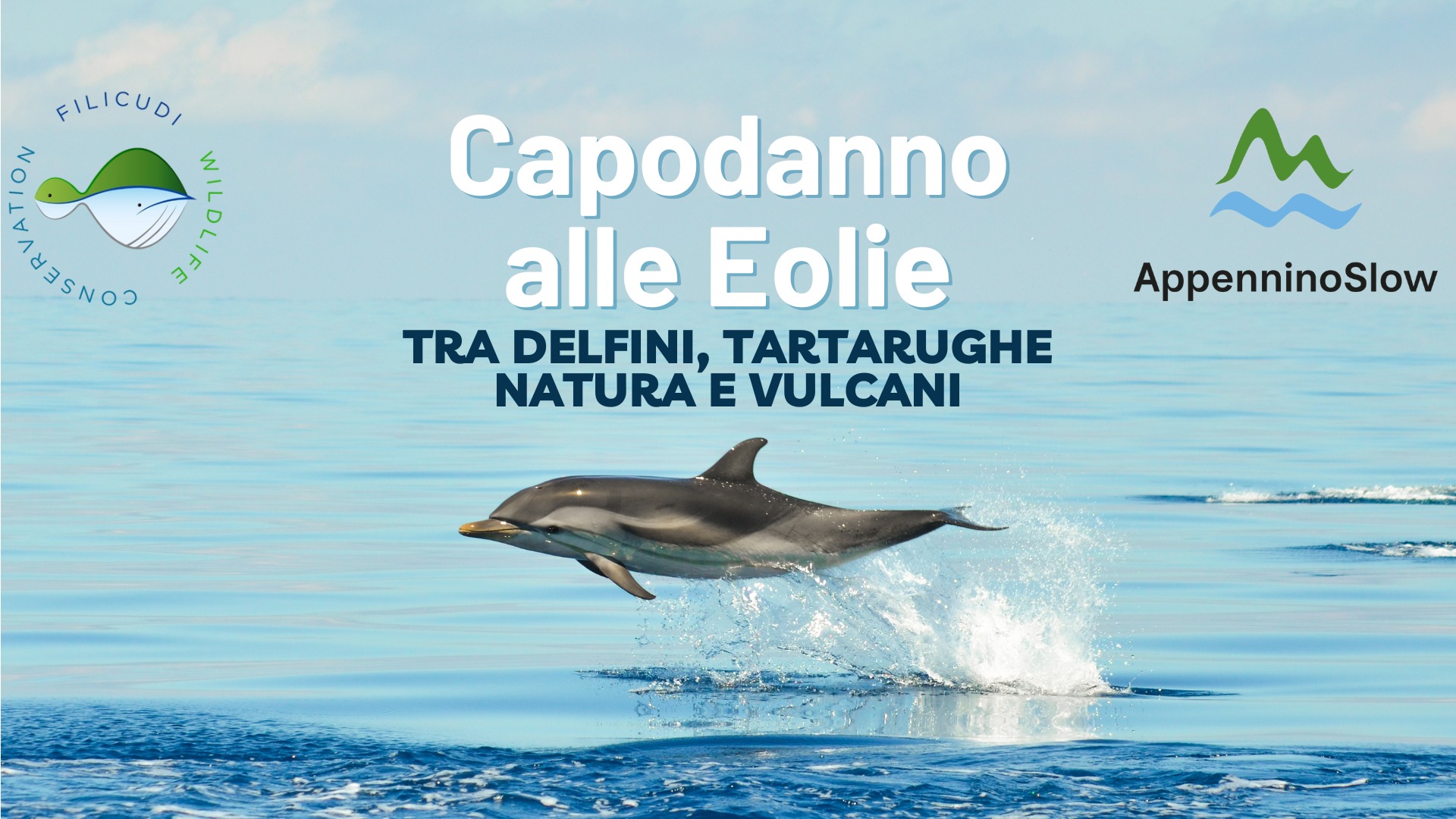 Capodanno alle Eolie: delfini, tartarughe, natura e vulcani Potrebbe essere un'immagine raffigurante il seguente testo "FILICUD, #ASENGG งาเต - 3 Capodanno alle Eolie TRA DELFINI, TARTARUGHE NATURA NATURAEVULCANI E VULCANI AppenninoSlow"