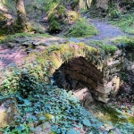 Da Ponte del Faggio a Casanova dell’ Alpe Da Ponte del Faggio a Casanova dell’ Alpe a Bagno di Romagna (FC) il 1 novembre 2026