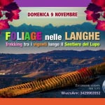 Foliage nelle Langhe: trekking tra i vigneti lungo il Sentiero del Lupo Foliage nelle Langhe trekking tra i vigneti lungo il Sentiero del Lupo a Montelupo Albese (CN) il 9 novembre 2025