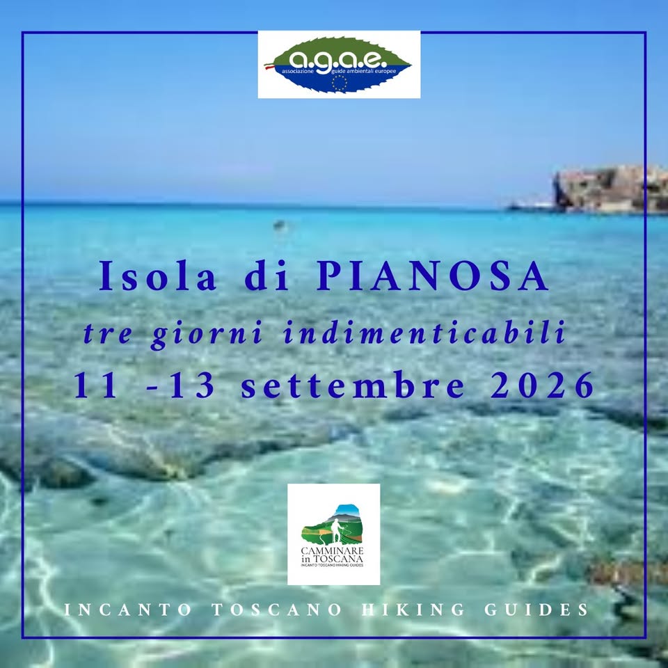 Evento Isola di Pianosa, tre giorni indimenticabili Locandina Isola di Pianosa, tre giorni indimenticabili - da venerdì 11 settembre - domenica 13 settembre 2026 ore 06:00 ore 20:00