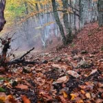 L’anello dei boschi di Collattoni (E) Potrebbe essere un'immagine raffigurante natura