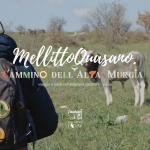 MellittoQuasano: Cammino dell’Alta Murgia | Puglia MellittoQuasano Cammino dell’Alta Murgia Puglia a Quasano (BA) il 6 dicembre 2025