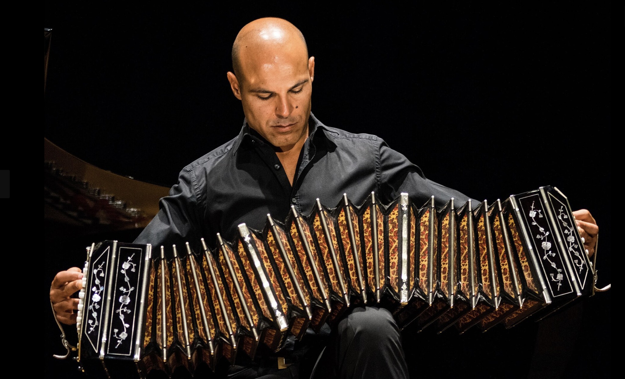 Omaggio ad Astor Piazzolla | Novafonic Quartet Potrebbe essere un'immagine raffigurante fisarmonica