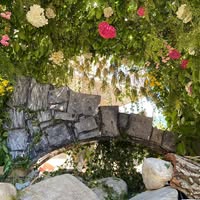 Foto di ProLoco Civitella Licinio Immagine di ProLoco Civitella Licinio